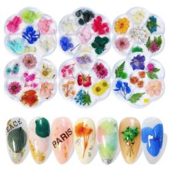 7Cells Các kiểu hoa khô khác nhau dành cho nghệ thuật trang trí móng tay